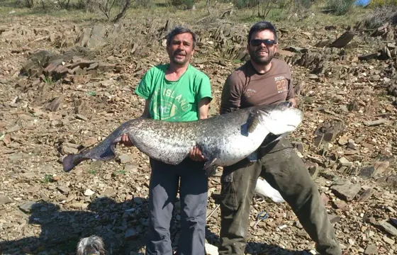 Fun Guided Fishing Trip in Alcántara, Spain