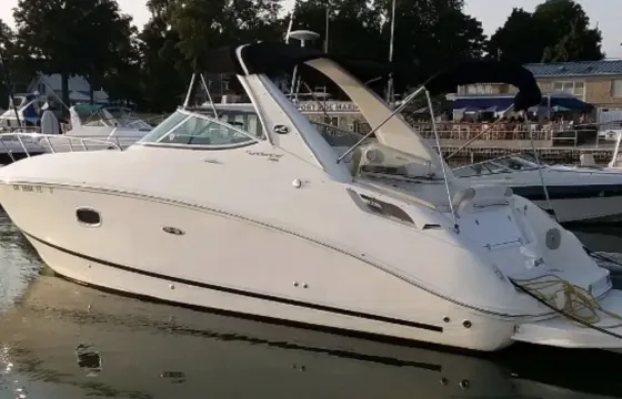 31ft Sea Ray 310 Sedan Bridge Motor Yacht Private Full Day Charter - Chicago, IL