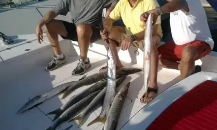 Deep Sea Fishing Boat in Abu Dhabi-Book with the professionals!