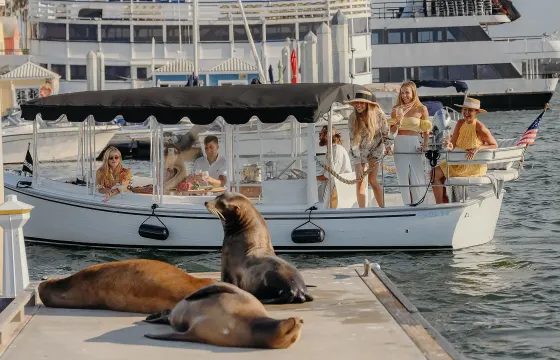 Luxury 22ft' Duffy Electric Boat with Captain | Marina del Rey, Los Angeles