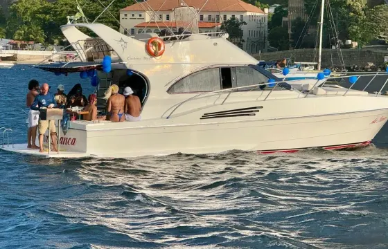 Luxury Sport Boat 41ft for 15 passengers