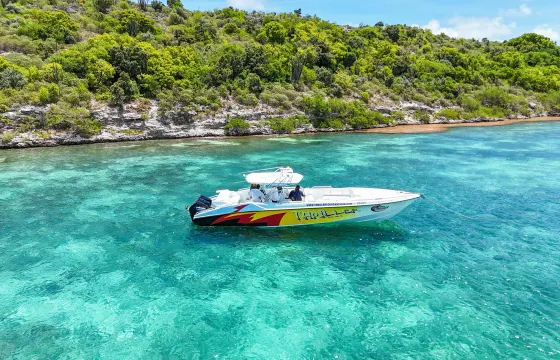 40ft Thriller Private Luxury Power Boat with Captain