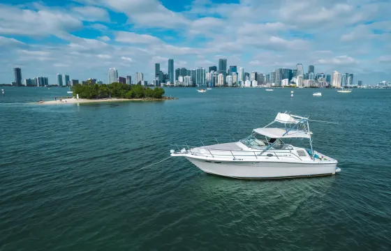 SEARAY 38’ YACHT FOR RENT 1 HOUR FREE EVERY DAY!!