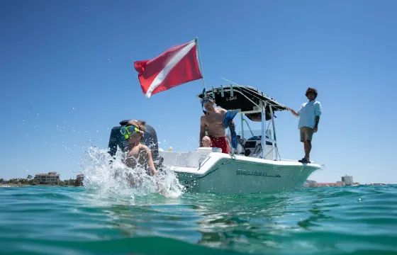 Crab Island, Snorkeling, and Dolphin Cruise. Private Charter up to 6 people