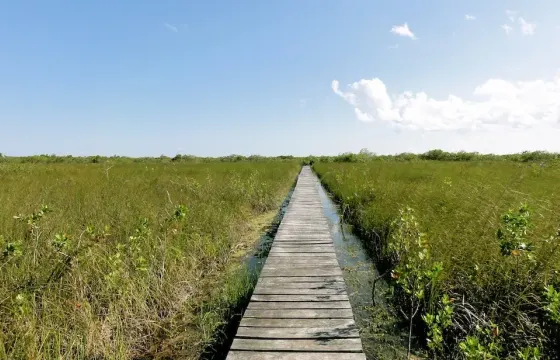Tulum Ruins & Sian Ka'an Muyil Biosphere Canal Floating in lazy river