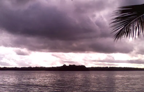 Lagoon Safari, Sightseeing and City Tour in Dodanduwa