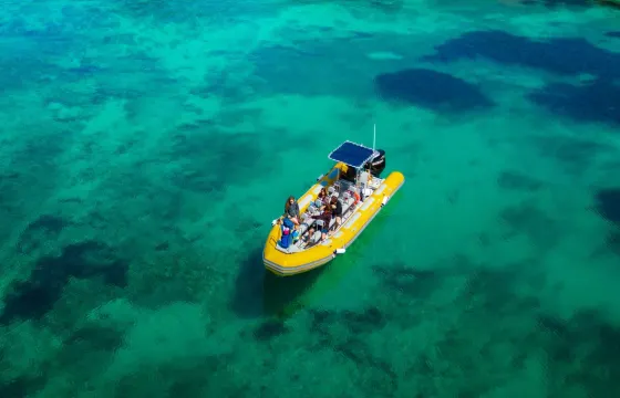 Rent a boat in Can Picafort - 27ft Valiant RIB