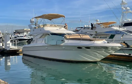 45 Sea Ray Flybridge Motor Ycht in Cabo San Lucas - All Inclusive
