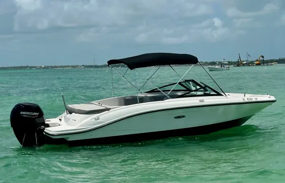Enjoy & Explore the Waters of Bonita Springs & FMB on Our 21ft Searay Bowrider!
