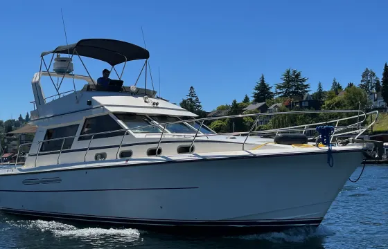 Vintage Viking Princess 385 Yacht for Charter