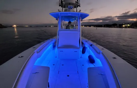 Best Ride in town. Bay Tour, Sunset/Dolphin Cruise, Fishing Charter...