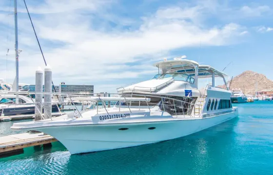Private Corporate Cruise: Yacht Charter & Bay Trip