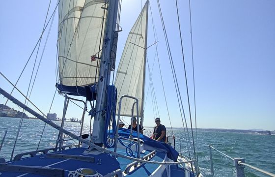 Private Sailing: 6 hours from Lisbon to Cascais