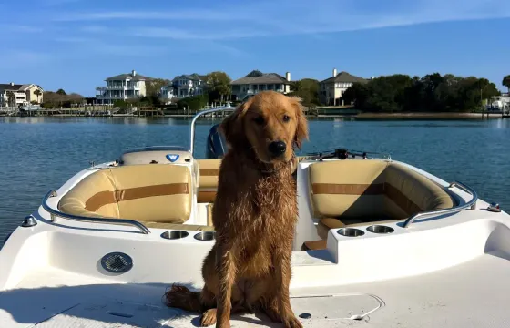 Sporty Sandbar and Island Hopping 19ft Hurricane Deck Boat
