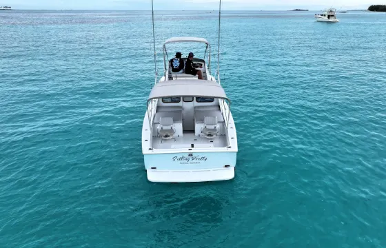 31' Bertram Sportfisher Yacht for Rent in Nassau