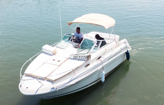 Private Yacht Sea Ray Sundancer 24ft