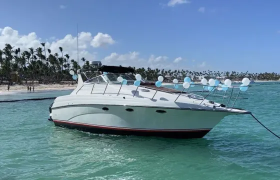 Luxury 28ft Stefendecker Motor Yacht In Punta Cana