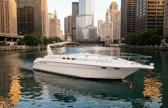 Enjoy Chicago aboard 45' Sea Ray Express Cruiser Yacht - Perfect for Parties!