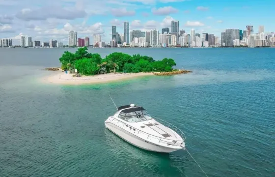 Cruiser Yacht 46ft Available for up to 12 peoples in Miami, Florida