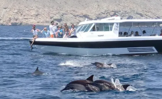 Dolphin Watching & Snorkeling Adventures in Muscat, Oman Private Tour