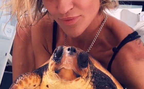 Ocean safari and boat trips in Tenerife
