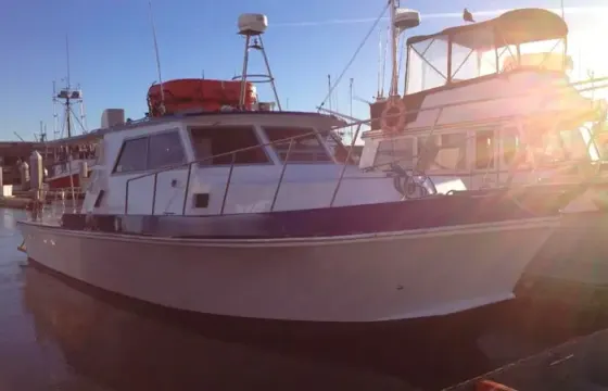 Versatile 38ft Delta Boat for Events, Fishing, and Whale Watching