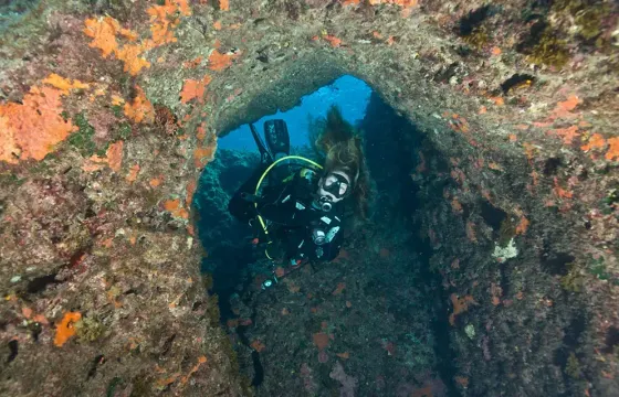 Enjoy Diving Trips and Lessons in Mellieħa, Malta