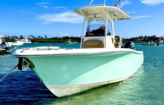 2019 25' Twin Engine Center Console - Perfect for Sandbar or Fishing!