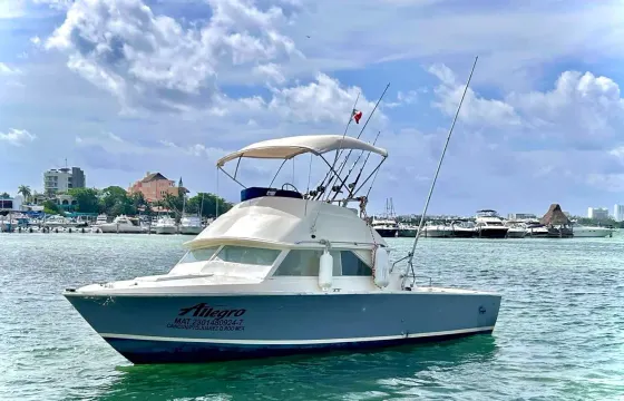 Bertram 31ft, Free pick up transportation Hotel marina one way
