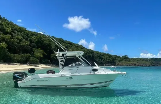 Beautiful and clean 25ft Wellcraft boat to enjoy in crystal clear waters!!!!