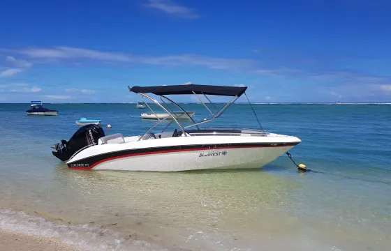 Sea Adventure with Dolphins in Mauritius