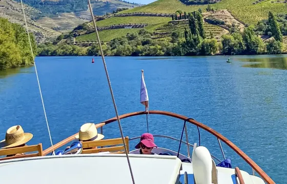 1h plus - Tour from Pinhão, Portugal