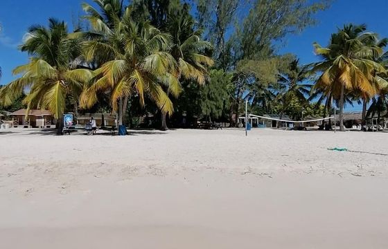 Private Boat 26' Up To 12 Person At Bayahibe Rd