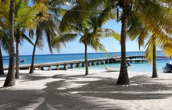 Private Boat 26' Up To 12 Person At Bayahibe Rd