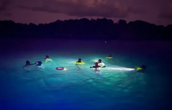 Twilight Snorkeling Cruise with Drinks & Gourmet Bites