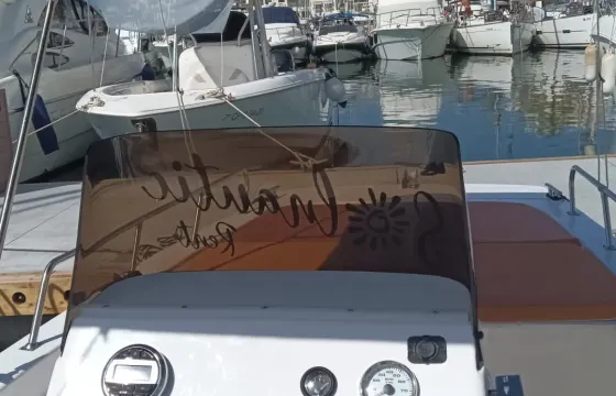 Marbella: Boat Rental without License for Dolphin Watching