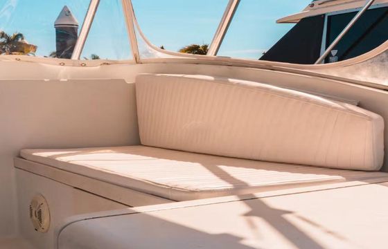 Luhrs 31ft Motor Yacht for Amazing Vacation in Mazatlan