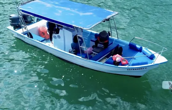 Private 28' Super Panga/ Boat Tours at Puerto Vallarta