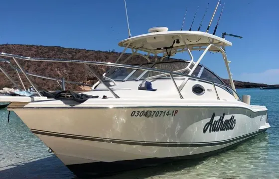 Scout 260 Sportfish Boat|Your Best Motorboat for an Unique experience at La Paz