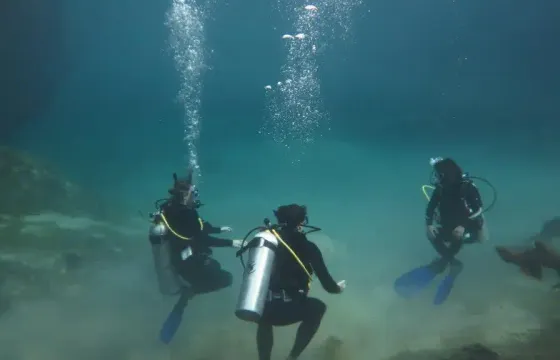 Diving Expeditions in Cenotes, Mexico