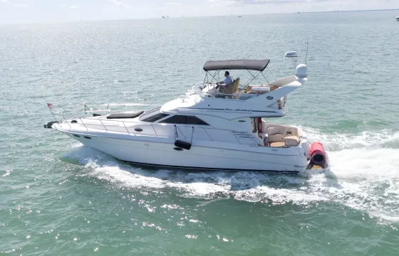 Sea Ray Sedan Bridge 45ft Yacht