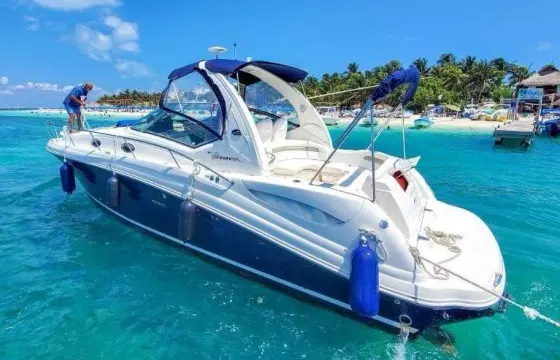 2010 Sea Ray Sundancer for Charter in Cancún