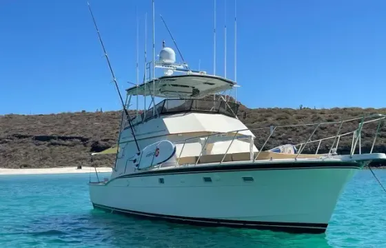 Wow!  Large Space For Groups | 50ft Hatteras Yacht -New Upgraded Interior