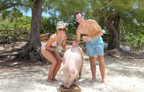 Private Rose Island Boat Tour, Swimming Pigs & Snorkeling