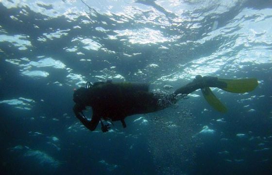 23' Super Panga Dive Boat Snorkeling Trips in Panama