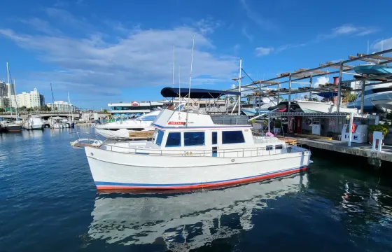 New! San Juan Day Beach Party Boat | Live Boricua!