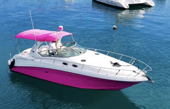 Private Pink Luxury Yacht in Montego Bay
