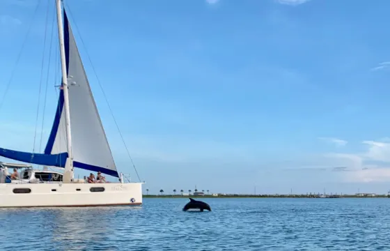 🎉🐬⛵️HUGE Sailing Catamaran Yacht in Charleston on Folly Beach, South Carolina