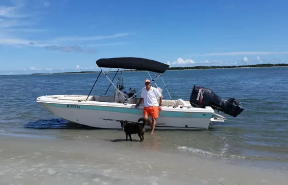 Wild Horses, Great Shelling, Cape Lookout Lighthouse, Sunset & Dolphin Cruises