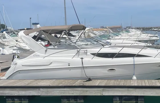 33ft Bayliner Powerboat Charter in Chicago for 10 Guests